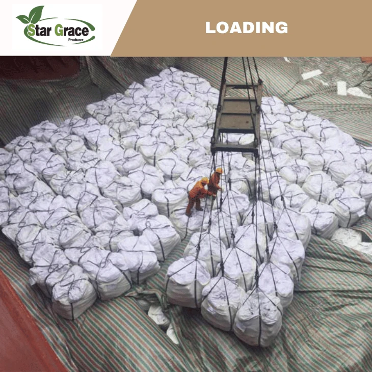 L-Lysine HCL for Chicken