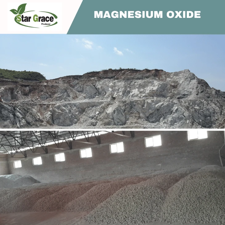Magnesium Oxide Powder 75%